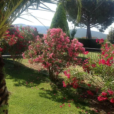 בית חווה Trieste