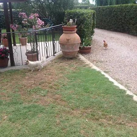 Trieste Албиния