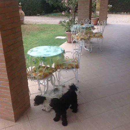 Trieste * Албиния